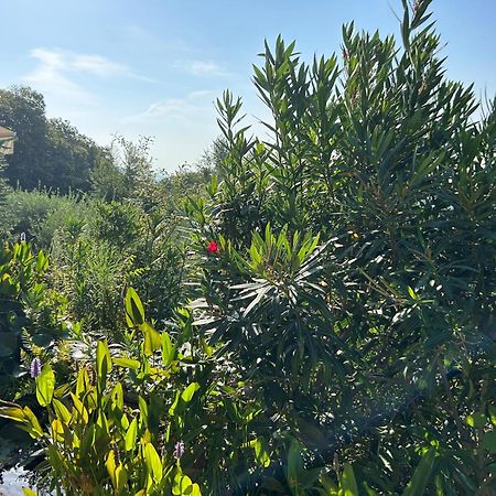 Almenno San Bartolomeo Agriturismo Al Robale מראה חיצוני תמונה