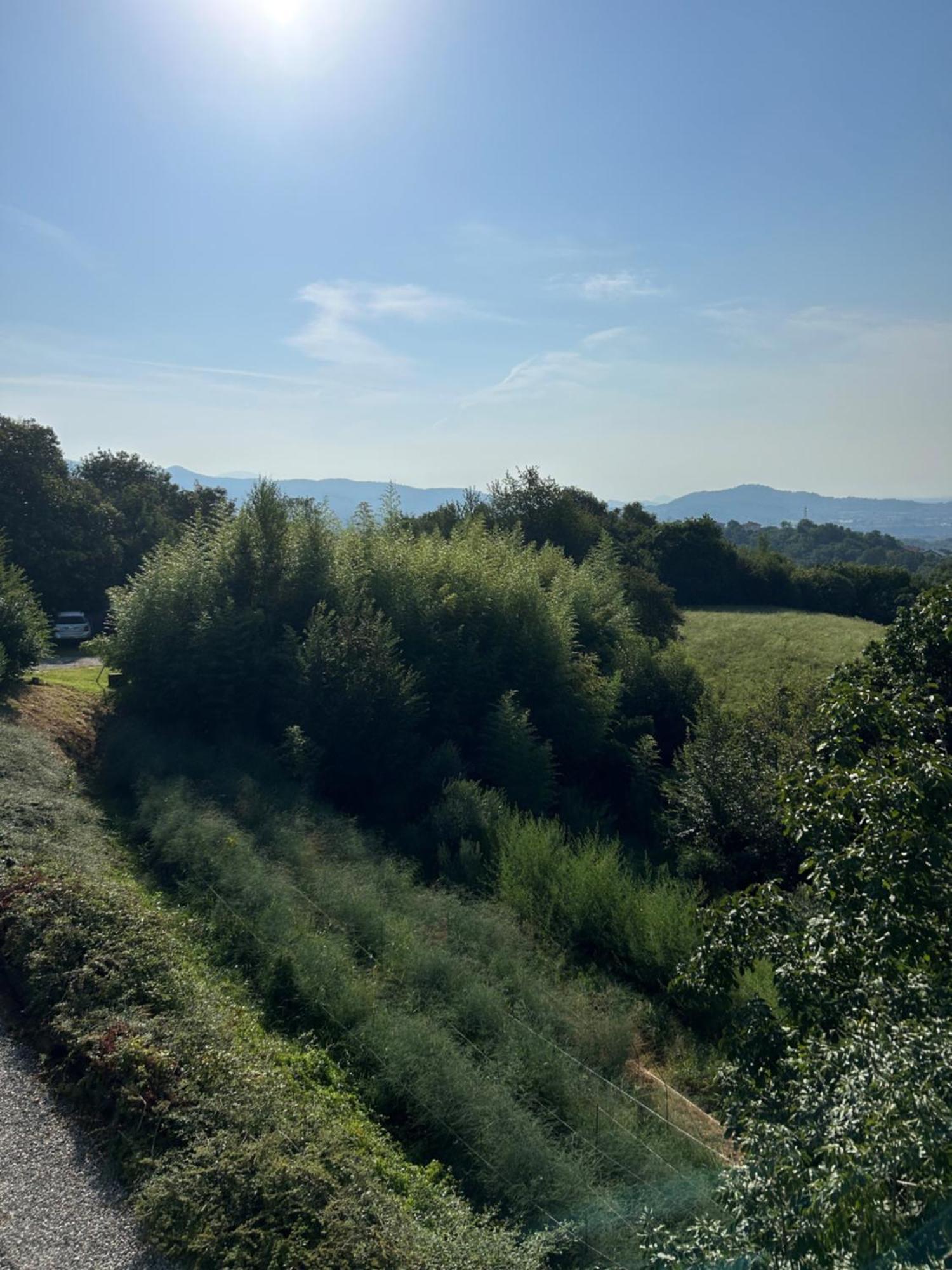 Almenno San Bartolomeo Agriturismo Al Robale מראה חיצוני תמונה
