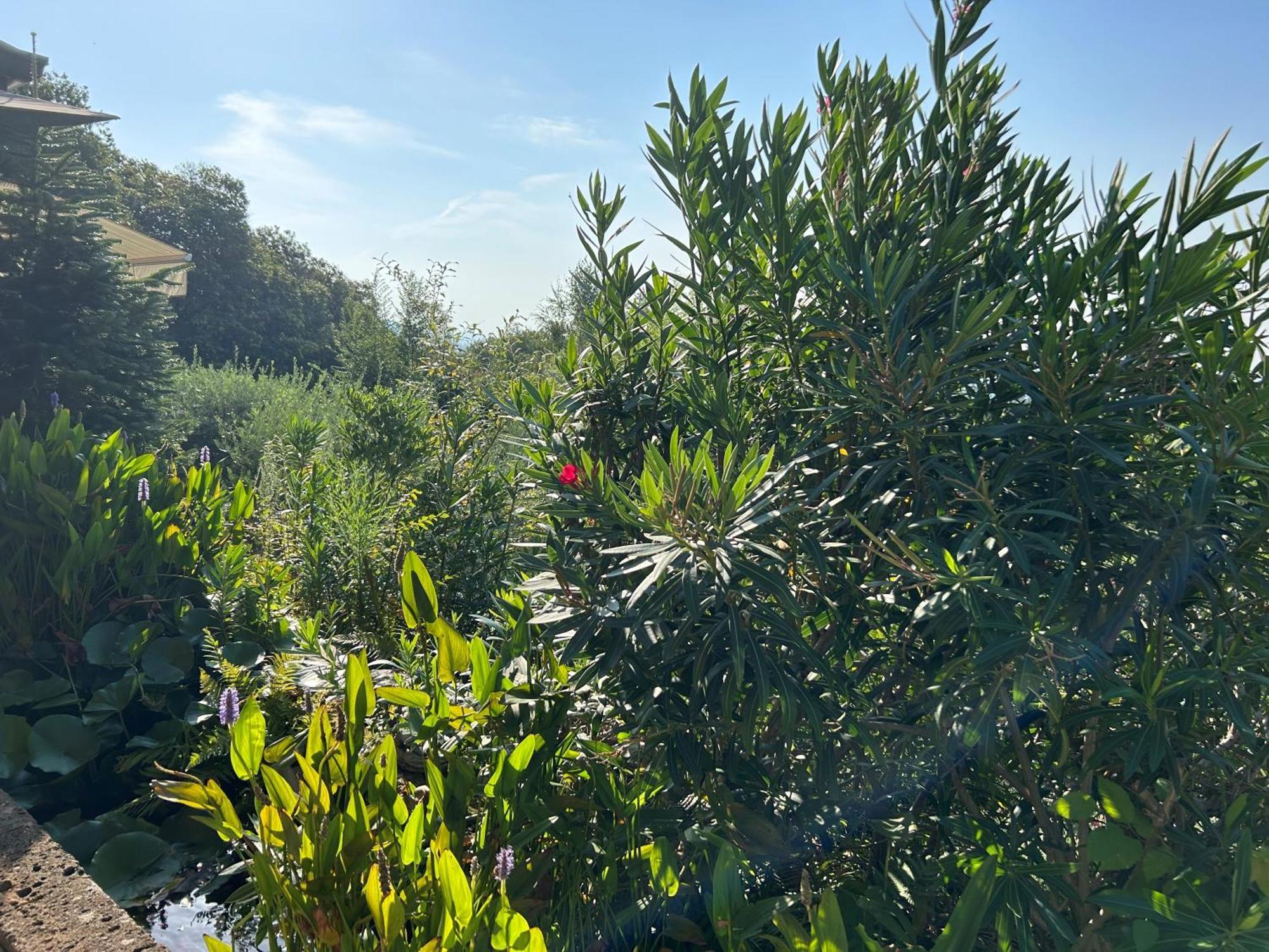 Almenno San Bartolomeo Agriturismo Al Robale מראה חיצוני תמונה