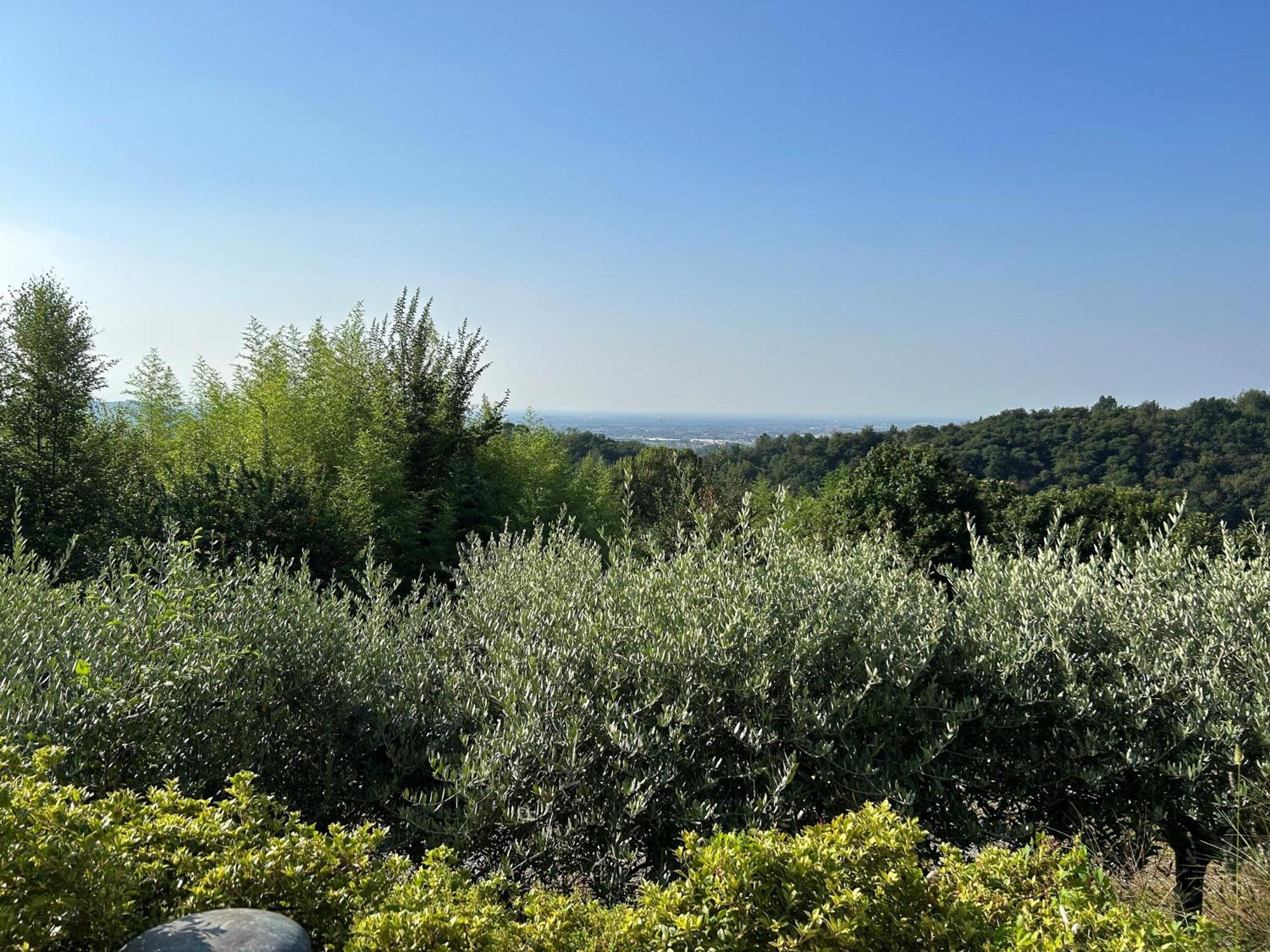 Almenno San Bartolomeo Agriturismo Al Robale מראה חיצוני תמונה