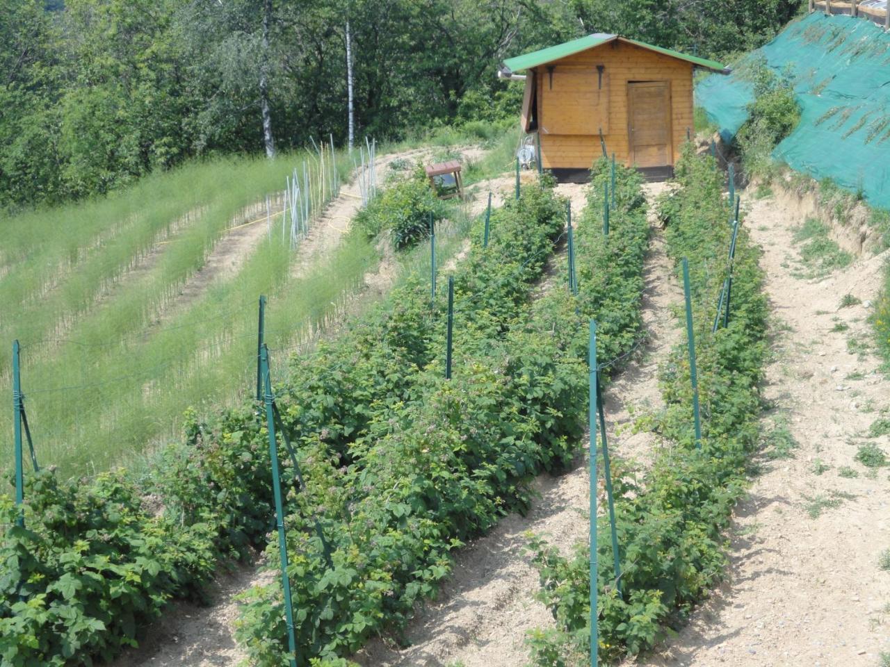 Almenno San Bartolomeo Agriturismo Al Robale מראה חיצוני תמונה